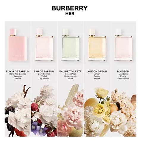 burberry t shirt tide shop|Burberry her fragrance.